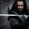 THE HOBBIT LOTR ORCRIST THORIN OAKSHIELD THE HOBBIT LOTR ORCRIST THORIN OAKSHIELD